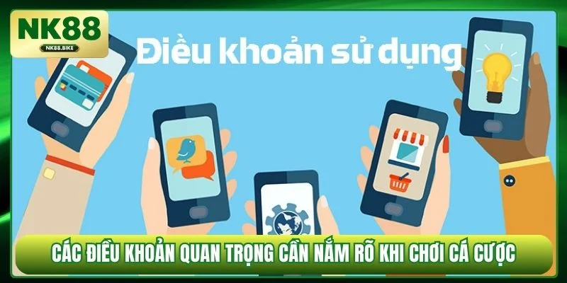 Các điều khoản quan trọng cần nắm rõ khi chơi cá cược